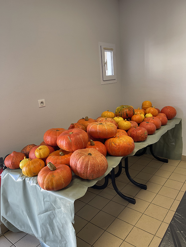 Agrandir l'image (fenêtre modale)