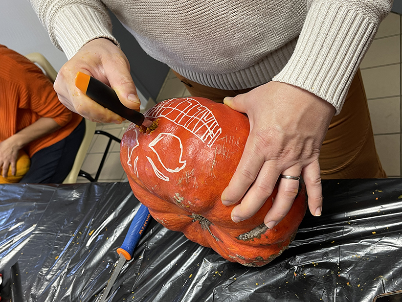 Agrandir l'image (fenêtre modale)