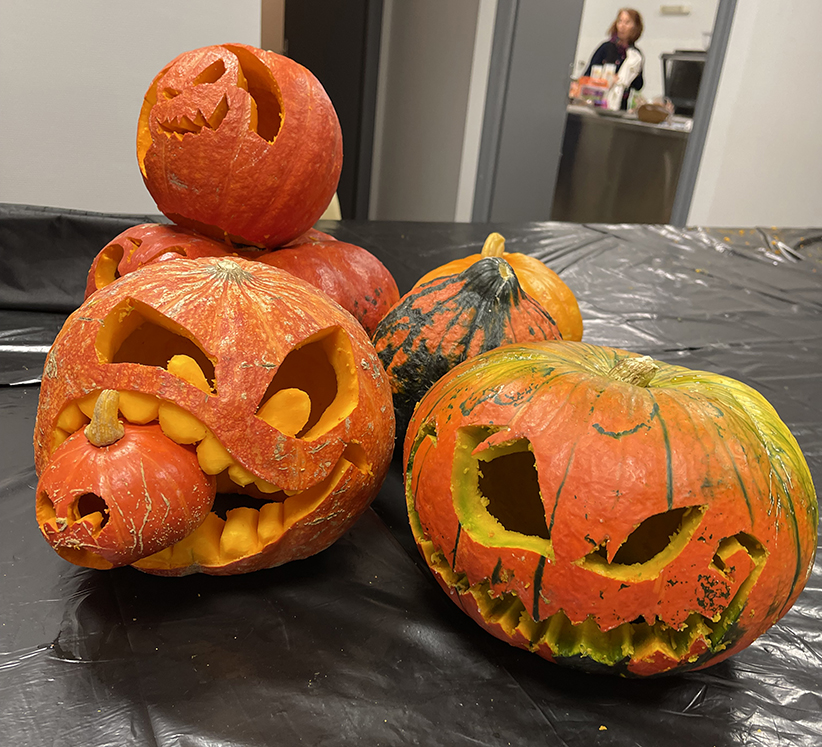 Agrandir l'image (fenêtre modale)