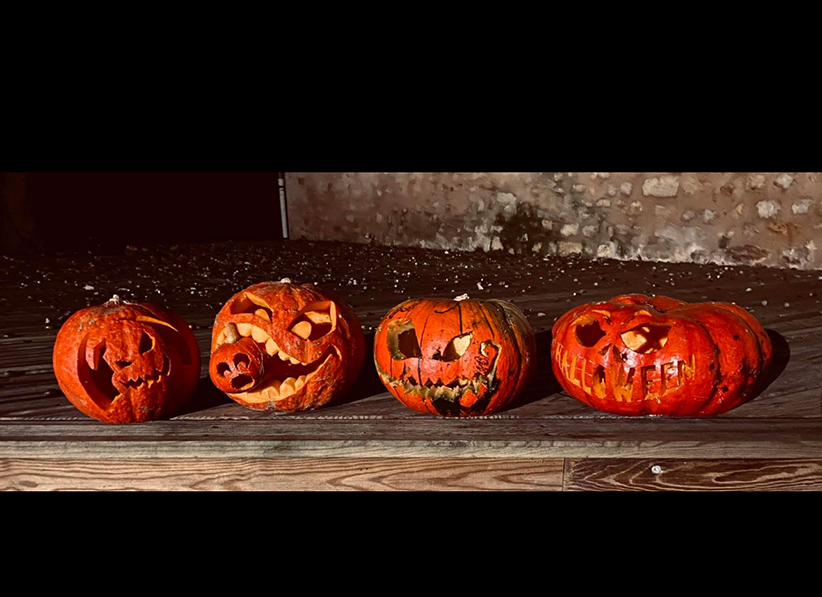 Agrandir l'image (fenêtre modale)