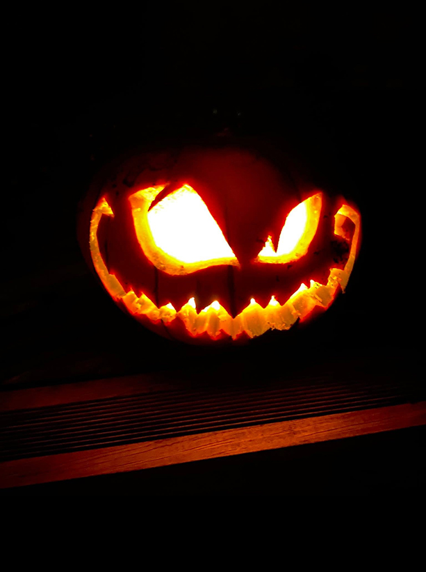 Agrandir l'image (fenêtre modale)